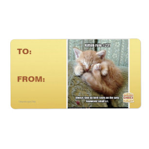 Kitteh-Regel #231