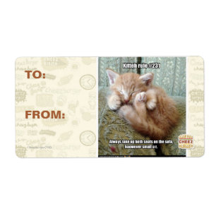 Kitteh Regel #231