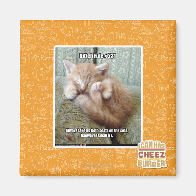 Kitteh-Regel #231 Magnet (Vorne)