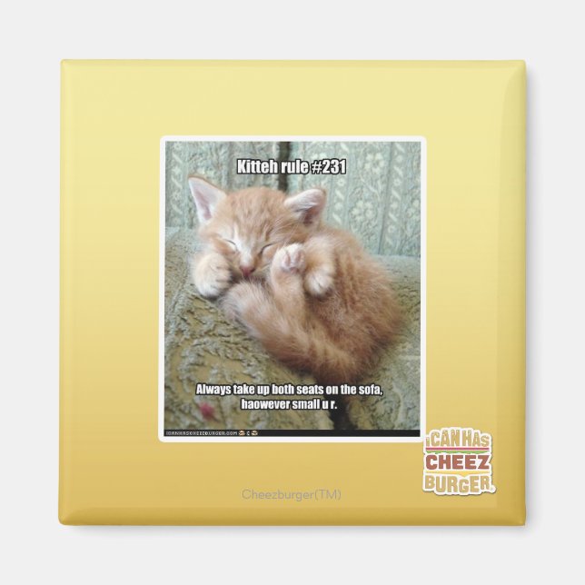 Kitteh-Regel #231 Magnet (Vorne)