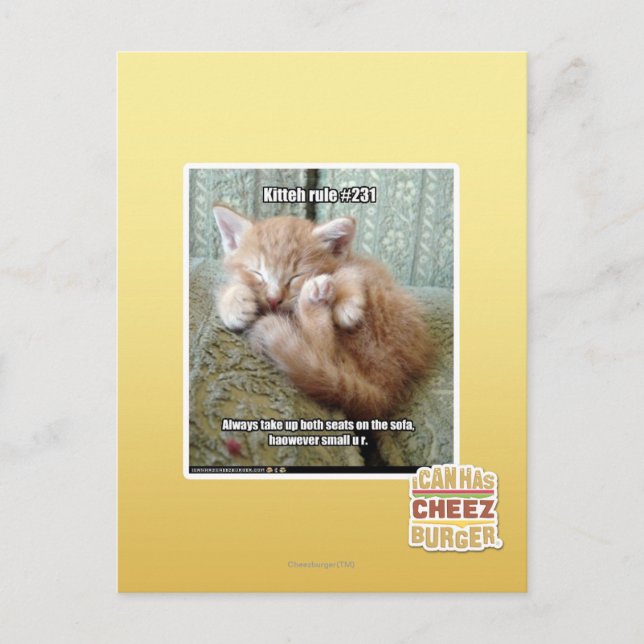 Kitteh-Regel #231 Postkarte (Vorderseite)