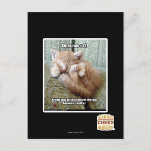 Kitteh-Regel #231 Postkarte