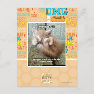 Kitteh-Regel #231 Postkarte