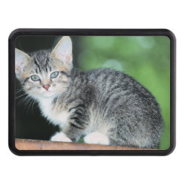 Kitten Abschlepphaken Cover