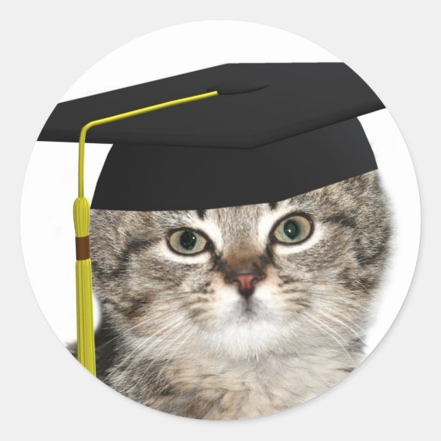 Kitten-Absolventen Runder Aufkleber (Vorderseite)