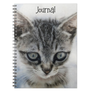 Kitten Baby Cat Art Journal Notizblock