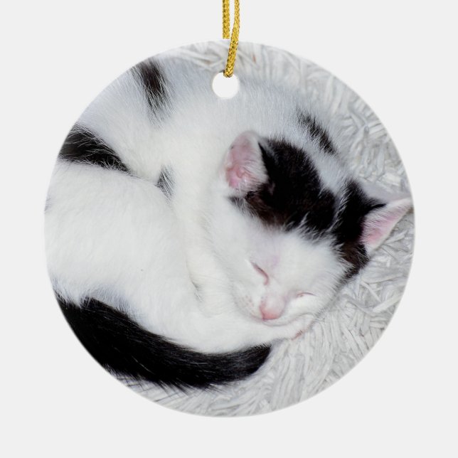 Kitten Black and White Schlafen Foto Keramik Ornament (Vorne)