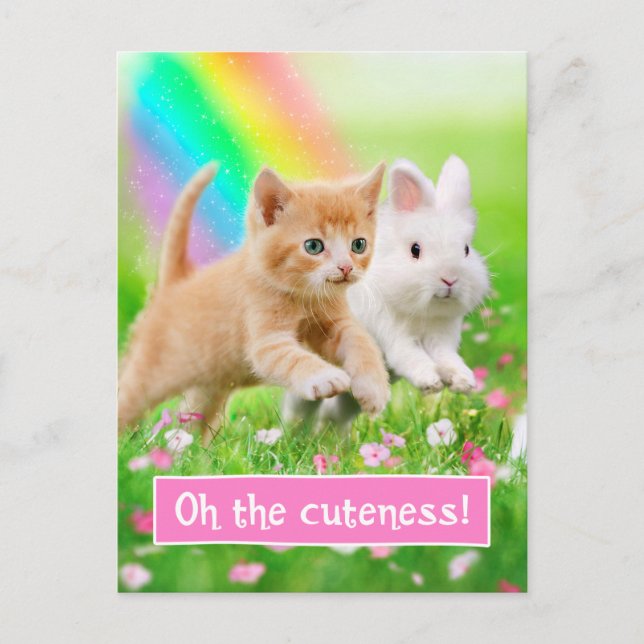 Kitten & Bunny mit Regenbogen Postkarte (Vorderseite)
