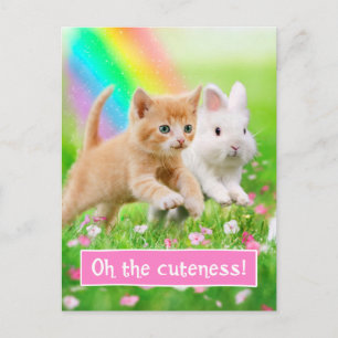 Kitten & Bunny mit Regenbogen Postkarte