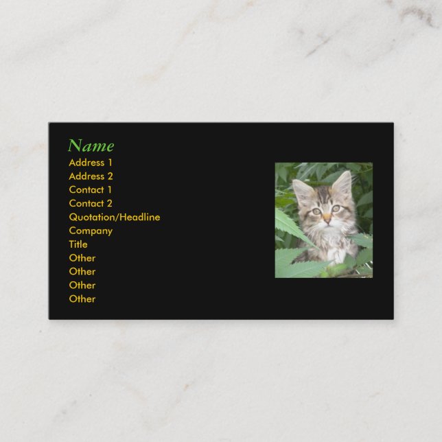 Kitten Business Cards Visitenkarte (Vorderseite)