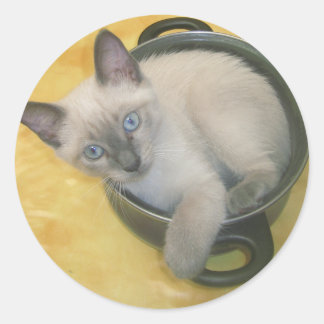 Kitten Cacciatore Runder Aufkleber