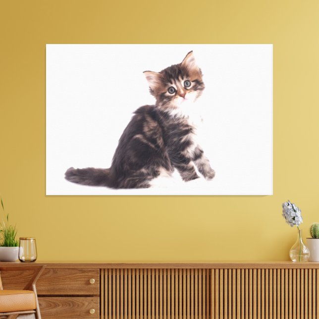 Kitten Canvas Print Picture White Background 13 Leinwanddruck (Insitu (Wohnzimmer))