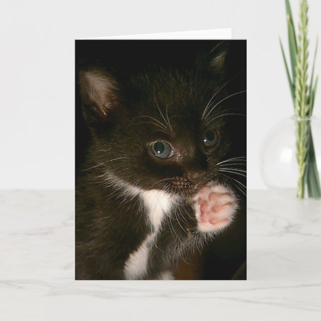 Kitten Card Karte (Vorderseite)