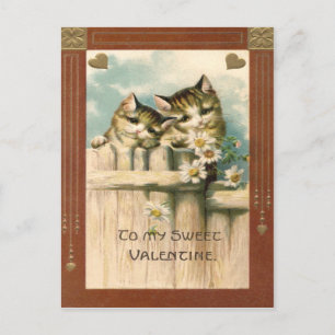 Kitten Cat Daisy Daisies Fence Postkarte