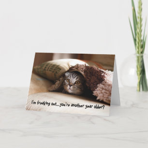 Kitten Cat Geburtstagskarte herausnehmen Karte