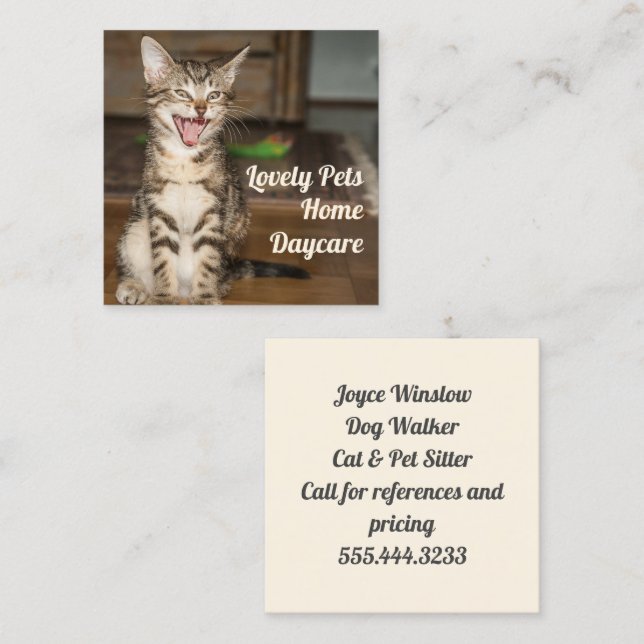Kitten Cat Pet Sitter Square Visitenkarten Quadratische Visitenkarte (Vorne/Hinten)