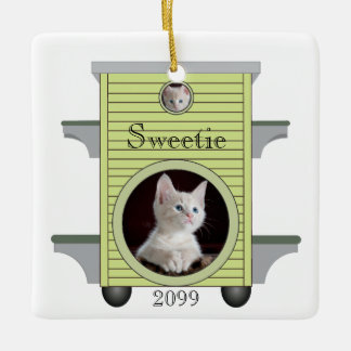 Kitten Cat Upload Foto Cat House Rahmen Keramikornament