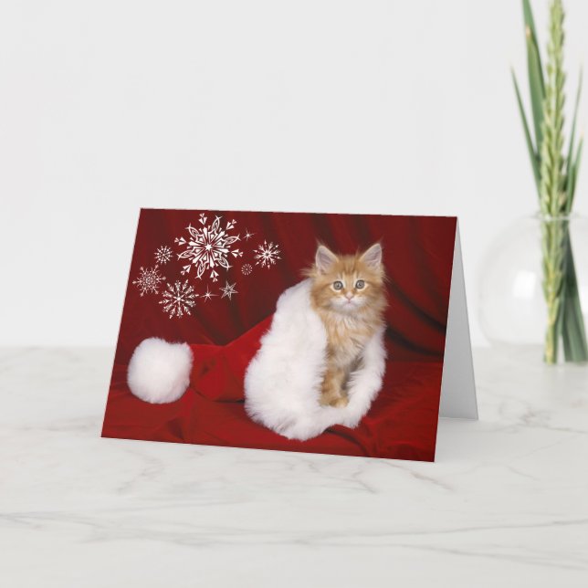 Kitten Christmas Card Feiertagskarte (Vorderseite)