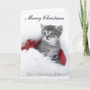 Kitten Christmas Card Feiertagskarte
