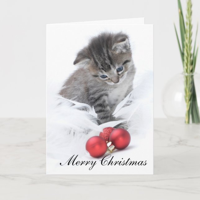 Kitten Christmas Card Feiertagskarte (Vorderseite)