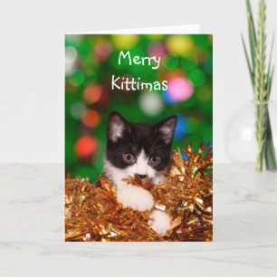 Kitten Christmas Feiertagskarte