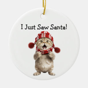 Kitten Christmas Fun Cat Ornament