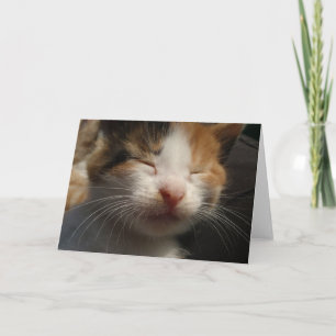 Kitten Cuteness Card Dankeskarte