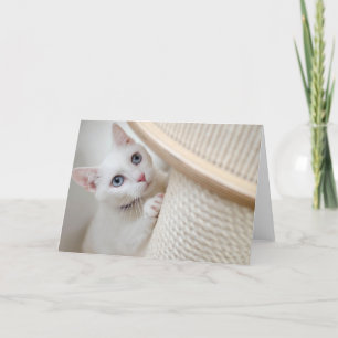 Kitten Dankeskarte