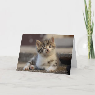 Kitten Dankeskarte