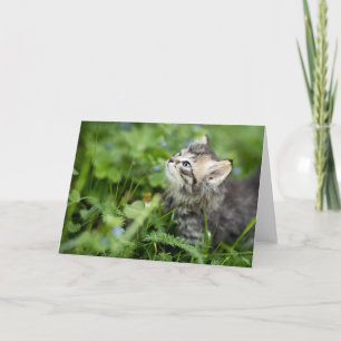 Kitten Dankeskarte
