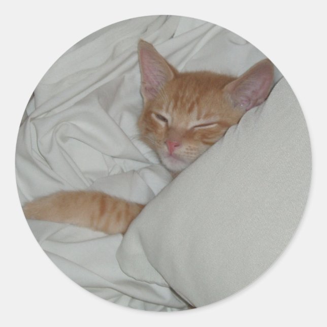 Kitten Dax Dreams Sticker (Vorderseite)