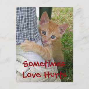 Kitten Dax Liebe Hurt Postcard Postkarte