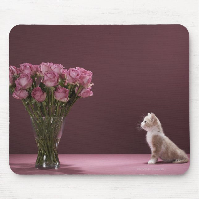 Kitten, die sich die Vase der Rose anschauen Mousepad (Vorne)