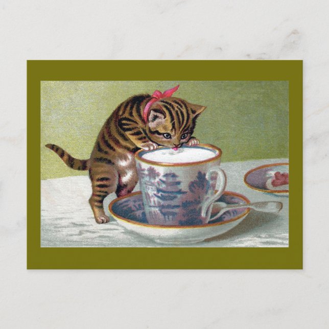 Kitten Drinks aus Teacup Viktorianisch Postkarte (Vorderseite)