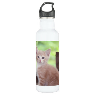 Kitten Edelstahlflasche