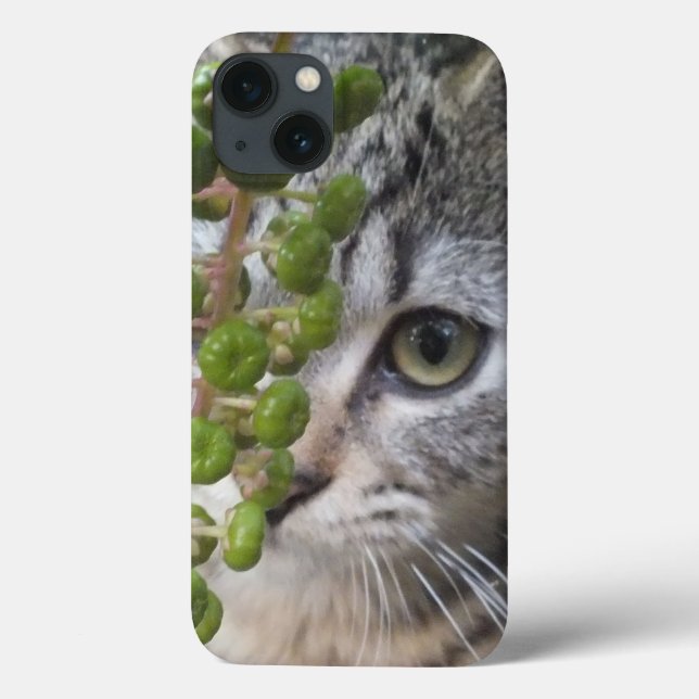 Kitten EYE-Phone iPad Mini Case verstecken (Rückseite)