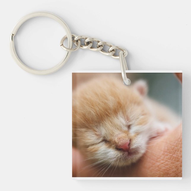 Kitten, Feline, Natur Schlüsselanhänger (Vorderseite)
