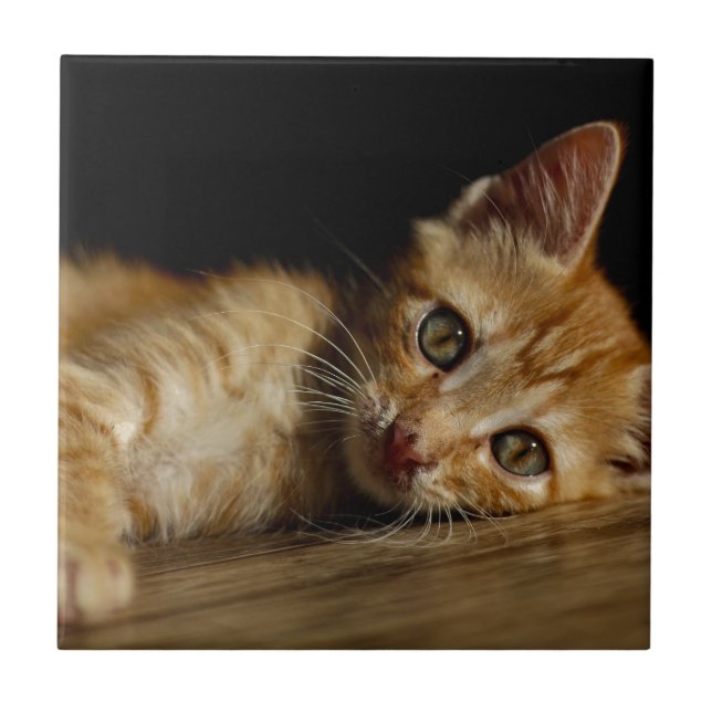 Kitten Fliese (Vorderseite)