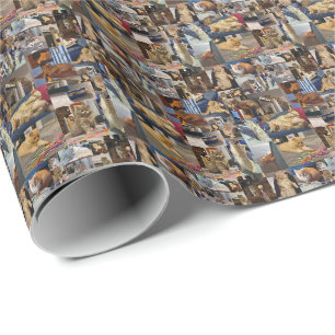 Kitten Foto Collage, Packpapier