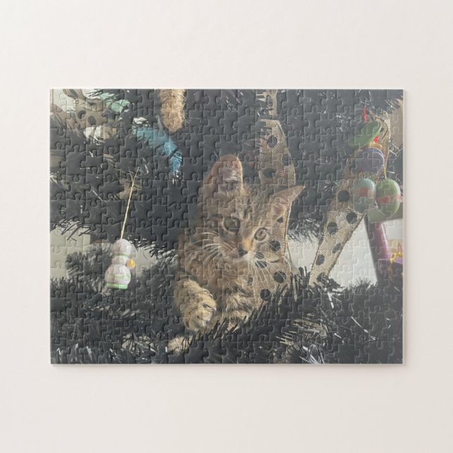 Kitten Foto Tierkatze Puzzle (Horizontal)
