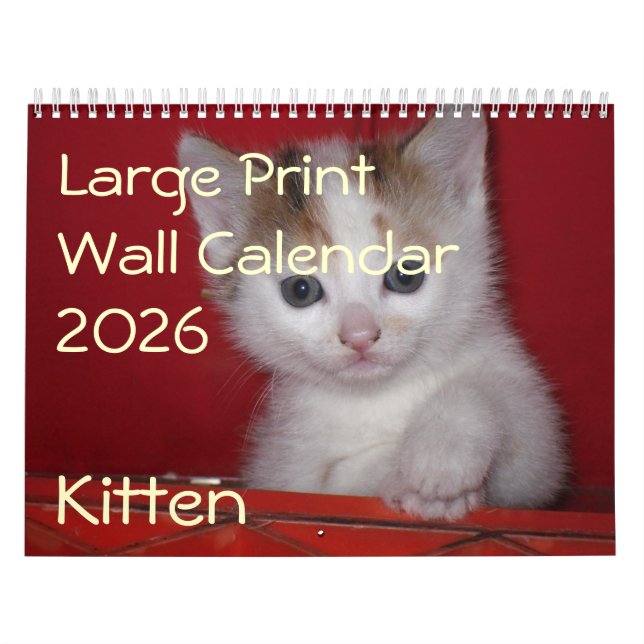 Kitten Foto Wall Calendar 2026 Kalender (Titelbild)