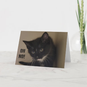 KITTEN FREUT SICH, "GLÜCKLICH 21. GEBURTSTAG" ZU S KARTE