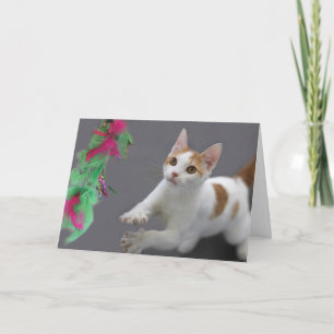 Kitten Geburtstagskarte durch Fokus für eine Sache Karte
