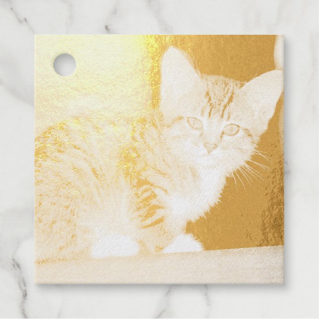 Kitten Geschenkanhänger (Vorderseite)