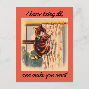 Kitten Get Well Postcard Postkarte