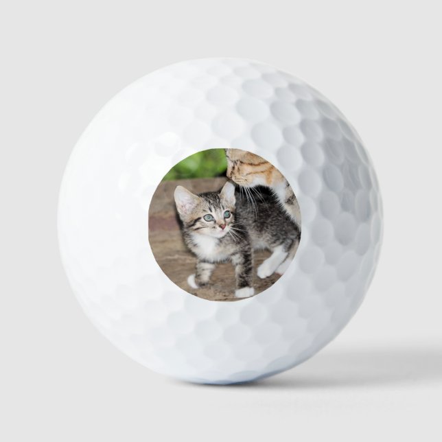 Kitten Golfball (Vorderseite)
