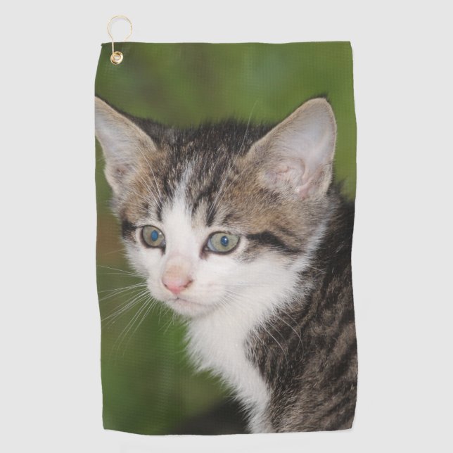 Kitten Golfhandtuch (Vorderseite)