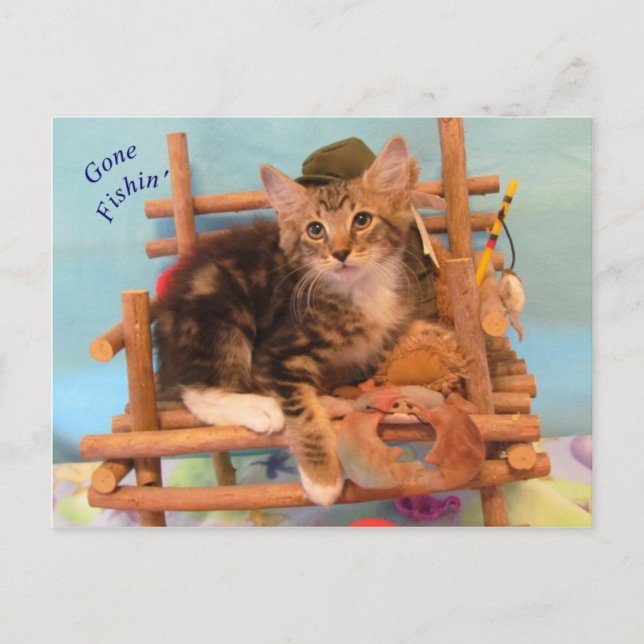 Kitten Gone Fishin' Postcard Postkarte (Vorderseite)