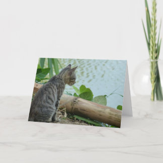 Kitten Greeting Card - Leere Karte