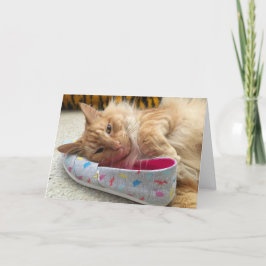 Kitten Grußkarte Nr. 3 Karte